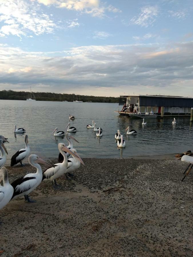 Summerhouses Noosaville Zewnętrze zdjęcie
